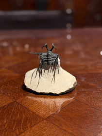 Трилобит Dicranurus monstrosus «Чудовищная невеста»